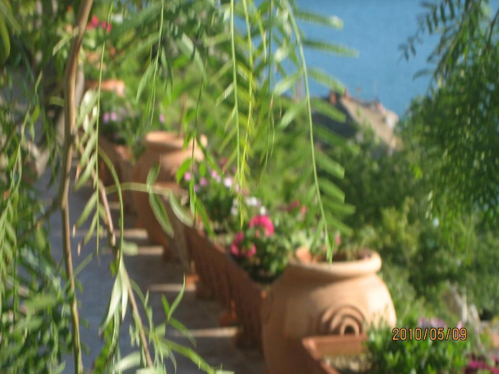 Villa Marietta Минори Екстериор снимка